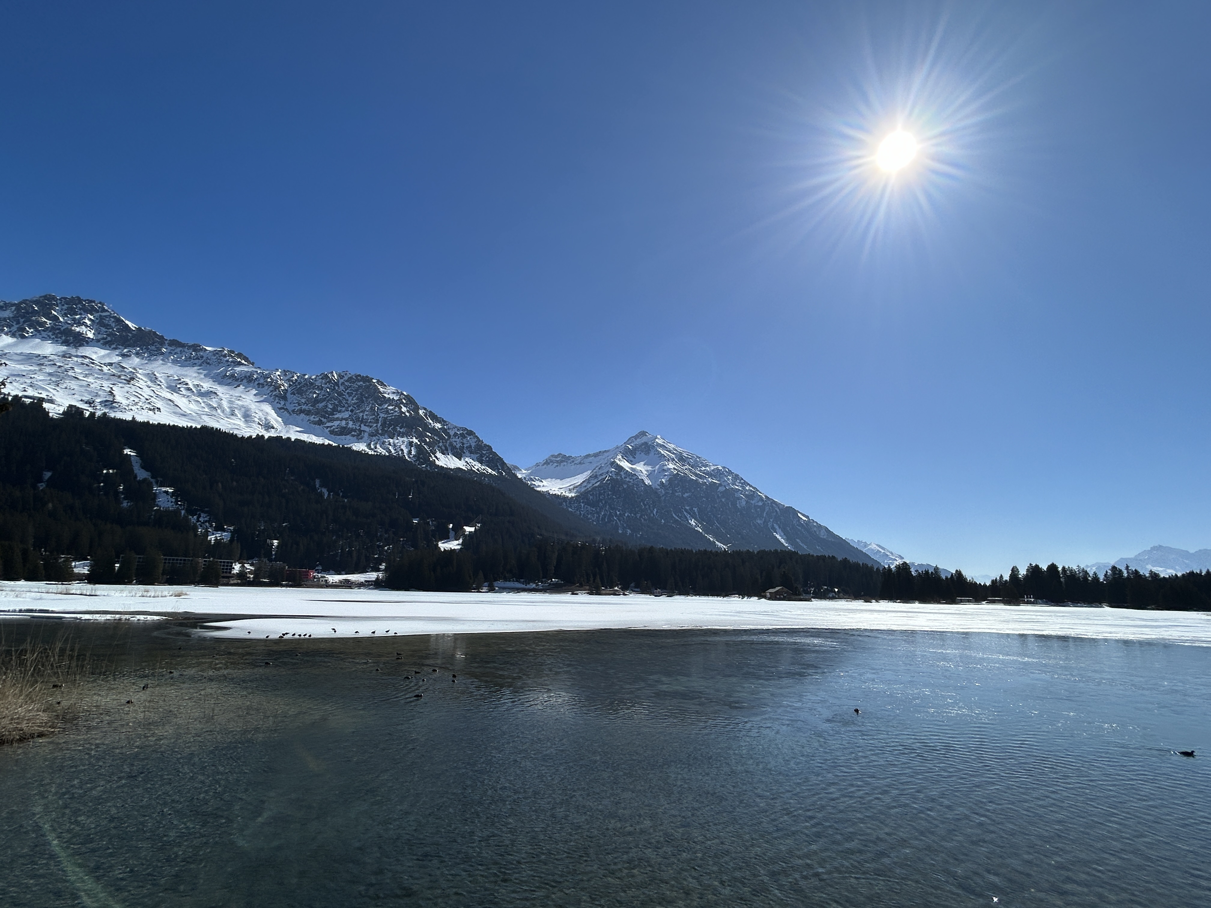 LAKE ZURI 100